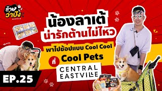 ช้างว่าปัง EP.25 🐶 พาไปช้อปแบบคูลคูล ที่ Cool Pets at Central EastVille