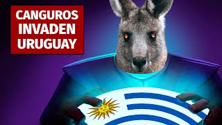 ¿Y si 47 MILLONES de CANGUROS INVADEN URUGUAY?