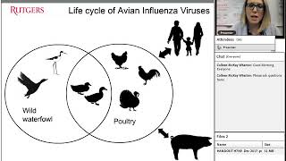 H7N9 Influenza Virus: An Explanation of its Pandemic Potential