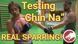 CHIN NA Kung Fu tested in SPARRING!