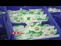 ongole dairy faces severe crisis inside