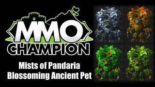 Patch 5.3 - Blossoming Ancient Pet