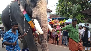 Chirakkal Kalidasan ll പള്ളിപെരുന്നാളിനെ ആറാടിക്കാൻ കാളിയും വിനോദേട്ടനും വിഷ്ണുവും