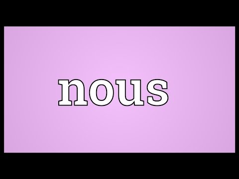 What is the meaning of nous in English?