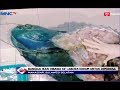 Petugas BKSDA Evakuasi Bangkai Ikan Napoleon di Perairan Tanjung Bira - LIM 10/04