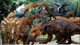 Dinosaurus 4D Learn about 20 types of dinosaurs and their various types