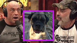 Joe's dog Johnny cash got fooled by a Coyote \u0026 help him to Rob all rogan's chickens | w/Eddie bravo