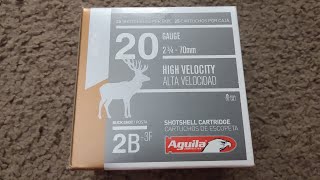 THE AMMO OUTLINED #7- AGUILA 20 GAUGE 2B BUCKSHOT  25 ROUND BOX REVIEW!!!!!