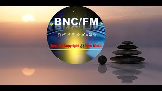 [Best No Copyright / Free Music] - Relaxing Music for Meditate, do Yoga, Sleep and Study