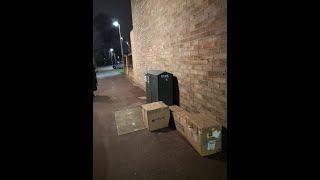 11 Cats taped up in cardboard boxes rescued!