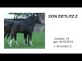 don zietlitz z