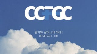 CCFGC 20230806 청년대학부 예배