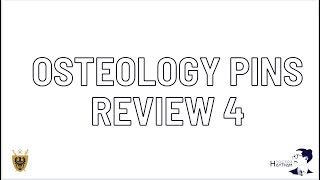 Osteology pins review 4 | Wroclaw MEdical University