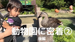 【動物園②】【日常密着】動物園後編！1歳\u00263歳ゾウに大興奮！初めての動物園。