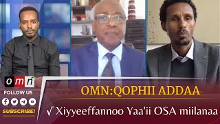 OMN :QOPHII ADDAA - Xiyyeeffannoo Yaa'ii OSA miilanaa (Bitootessa 15, 2023)