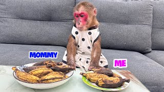 What a surprise! Kobi monkey learns to divide food and wait for mom to eat together 🐒❤️