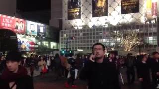 渋谷のクリスマスイルミネーション20121222 Catjukevox元神田ホイ