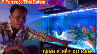 Thái Salem nhận món quà nguyên hồ Cá chép sư tử khủng từ Fan Ruột A Giang ❤️