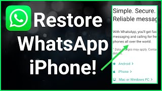 How To Restore WhatsApp Messages From Google Drive To iPhone