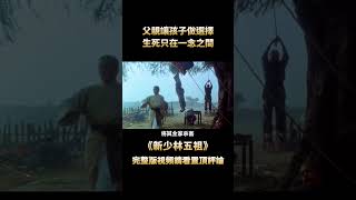 李連傑謝苗初次合作，上演最強父子檔，成就難以超越的武俠經典