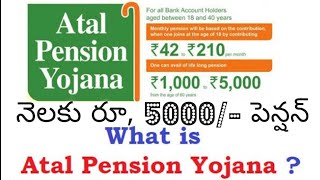 నెలకు రూ, 5000/- పెన్షన్ || Atal Pension Yojana scheme