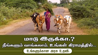 மாடு இருந்தா., உங்களுக்கான வாய்ப்பு., Miss  பன்னிராதீங்க...