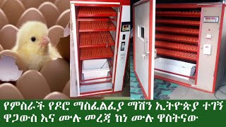 የምስራች የዶሮ ማስፈልፈያ ማሽን በኢትዮጵያ ዋጋው እና ሙሉ መረጃ