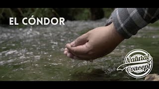 Natural Concept - El cóndor (Official Music Video)