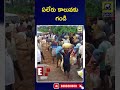 yeleru canal ఏలేరు కాలువకు గండి swatantra tv live