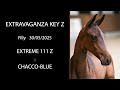NR 28 - EXTRAVAGANZA KEY Z (Extreme 111 Z x Chacco-Blue)