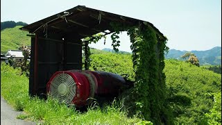 西吉野の果樹集落【果樹園の農村・田舎散歩】（奈良県五條市西吉野町奥谷）walking.Nishiyoshino Town Okudani, Nara Japan