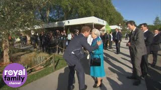 Prince Harry shows the Queen around Chelsea Flower Show