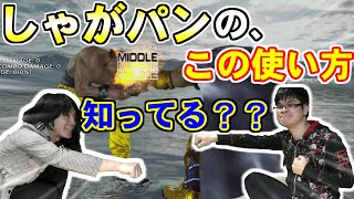 【鉄拳7】しゃがパン立ち帰着！！技後の選択肢がめちゃくちゃ増えるこのネタは超重要！！！【ヒッポとゼウガルの鉄拳TV】第55回