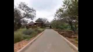 5000m2 Land for Sale in Hoedspruit Wildlife Estate - J60101