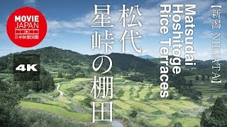 新潟　松代　星峠の棚田  4K  Matsudai Hoshitoge Rice Terrace