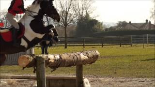 Somerford Park XC Schooling