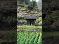 深山的一间小木屋，田野荒地…不通路，材料怎么弄过来的，为何在这里建奇怪房子，有何用途？