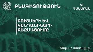 Բույսերի և կենդանիների բազմացումը․ 6-րդ դասարան