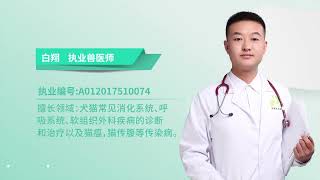 狗狗尿黃是什么原因