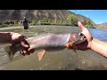 big trout all day river fishing in colorado