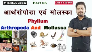 Part 05 Phyllum  Arthropoda And  Mollusca