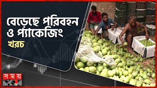 রংপুরে আম বাণিজ্যে বিড়ম্বনা | Rangpur Harivanga Mango | Transportation And Packaging Costs |Somoy TV