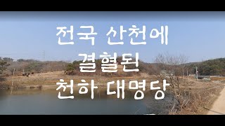 전국 산천에 결혈된 천하 대명당 묘혈