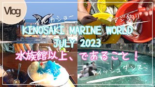 【城崎マリンワールド】VLOG　2023.7　「水族館以上、であること」アジ釣り、アジの天ぷら、イルカショー、足湯、夏休み、ファミリーでもデートでも楽しい、観光におすすめです♪