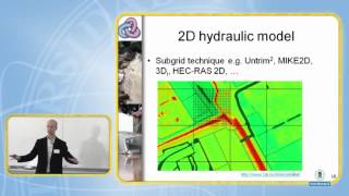 Hydraulic model theory. DRIHM 15/17