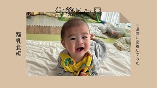 【生後5か月】初めての離乳食｜1週間に密着