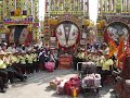 三峽祖師廟慶典之大豬公