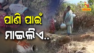 Balasore Villagers Walk Miles For Drinking Water | NandighoshaTV