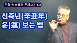 도경선생의 명리강좌  신축년 운세보기(3) : 신축년 운 보는 법