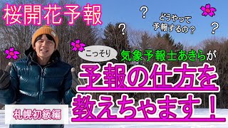 【てんきよほう第56話】桜の開花予報ってどうやるの？札幌の桜開花予報のやり方を気象予報士あきらがこっそり？教えちゃうぞ！